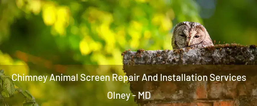  Chimney Animal Screen Repair And Installation Services Olney - MD