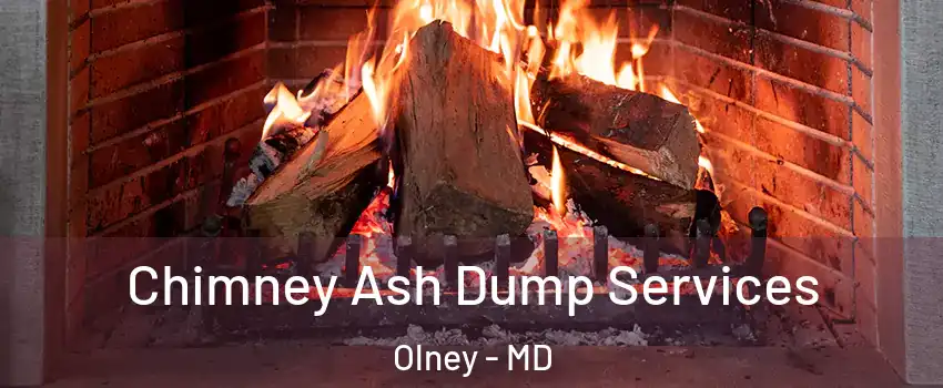  Chimney Ash Dump Services Olney - MD