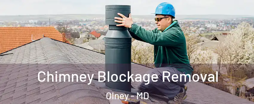  Chimney Blockage Removal Olney - MD
