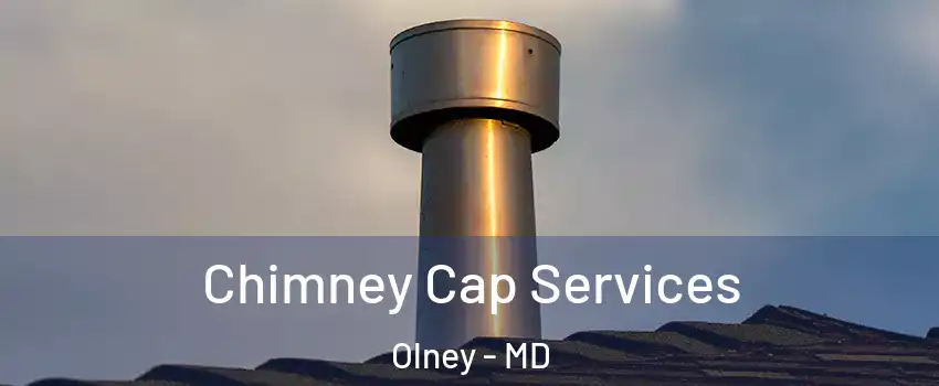  Chimney Cap Services Olney - MD