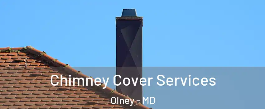  Chimney Cover Services Olney - MD