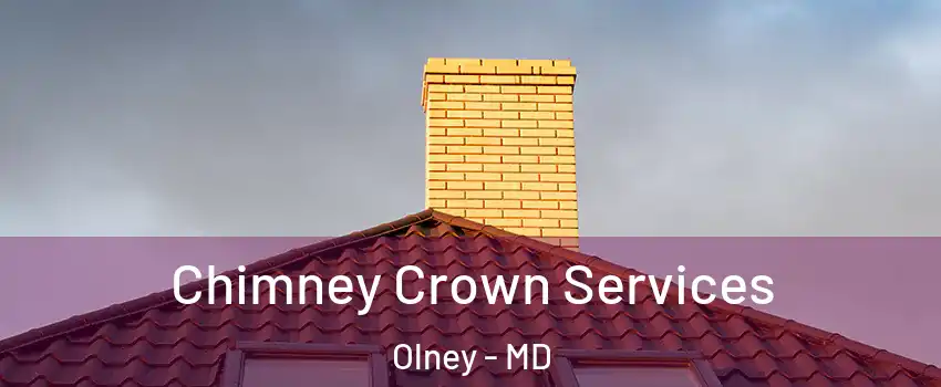 Chimney Crown Services Olney - MD