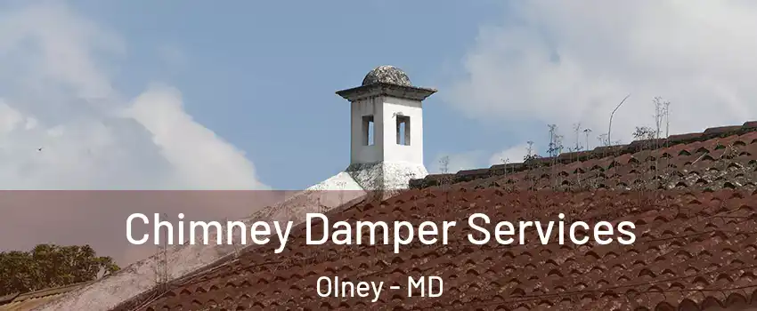  Chimney Damper Services Olney - MD