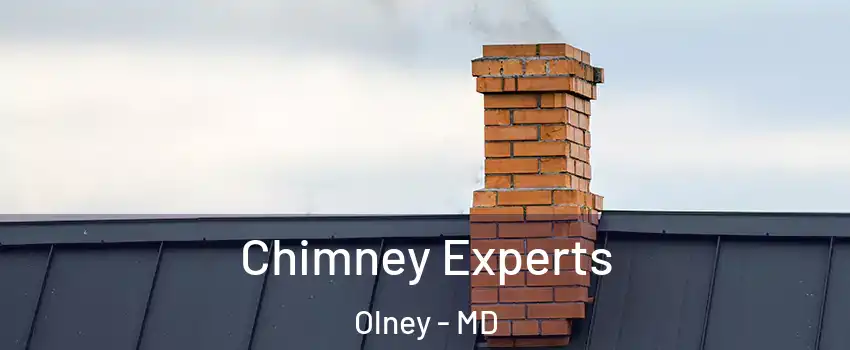 Chimney Experts Olney - MD