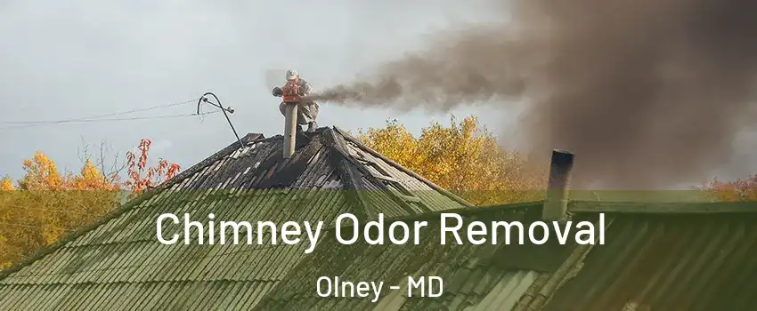  Chimney Odor Removal Olney - MD