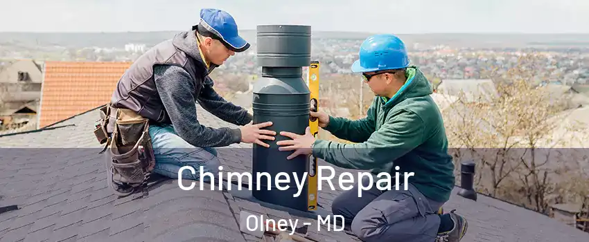  Chimney Repair Olney - MD