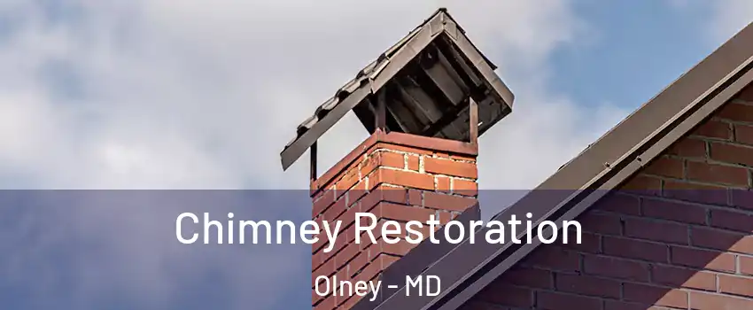  Chimney Restoration Olney - MD