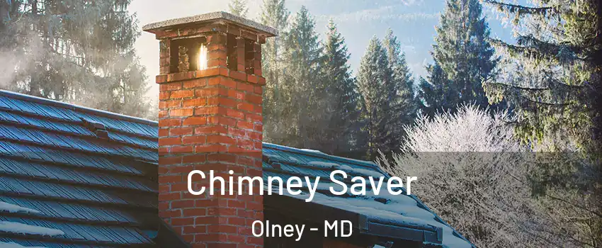  Chimney Saver Olney - MD