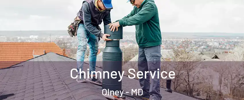  Chimney Service Olney - MD