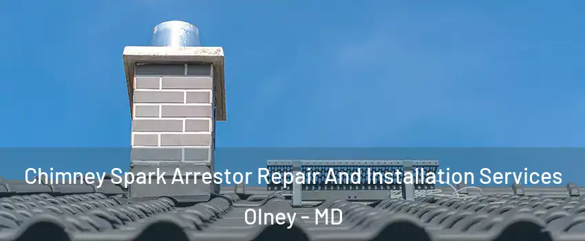  Chimney Spark Arrestor Repair And Installation Services Olney - MD