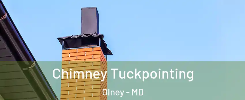  Chimney Tuckpointing Olney - MD