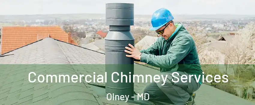  Commercial Chimney Services Olney - MD