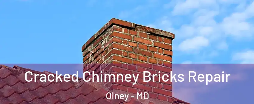  Cracked Chimney Bricks Repair Olney - MD