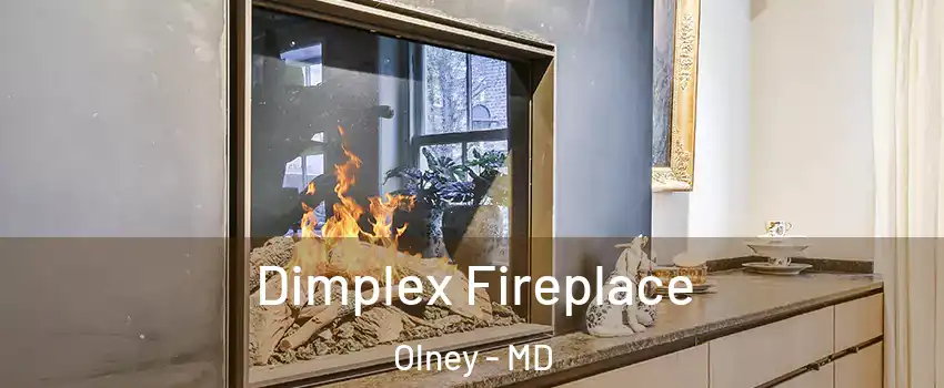  Dimplex Fireplace Olney - MD