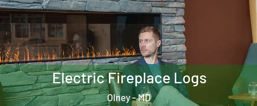  Electric Fireplace Logs Olney - MD