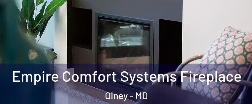  Empire Comfort Systems Fireplace Olney - MD