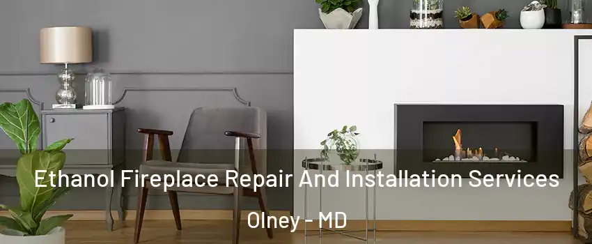  Ethanol Fireplace Repair And Installation Services Olney - MD