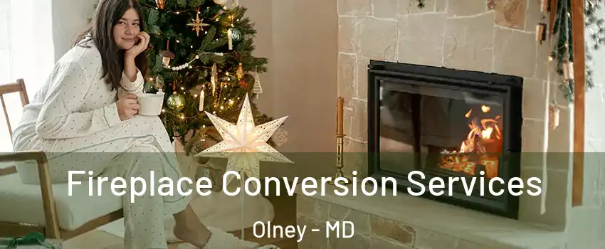  Fireplace Conversion Services Olney - MD