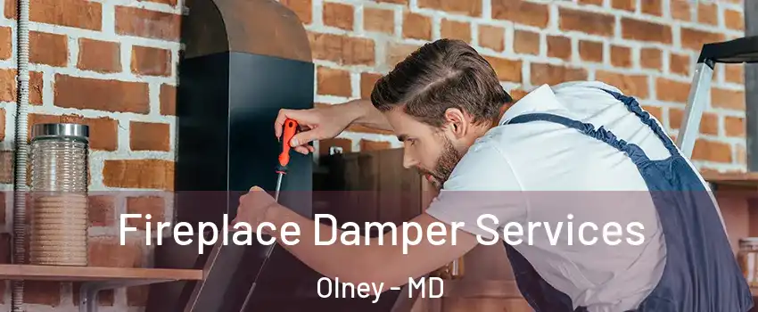  Fireplace Damper Services Olney - MD