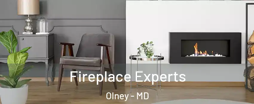  Fireplace Experts Olney - MD