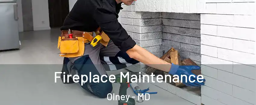  Fireplace Maintenance Olney - MD