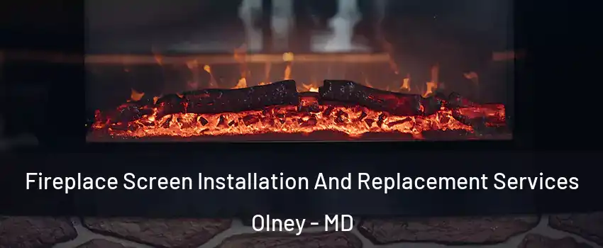  Fireplace Screen Installation And Replacement Services Olney - MD