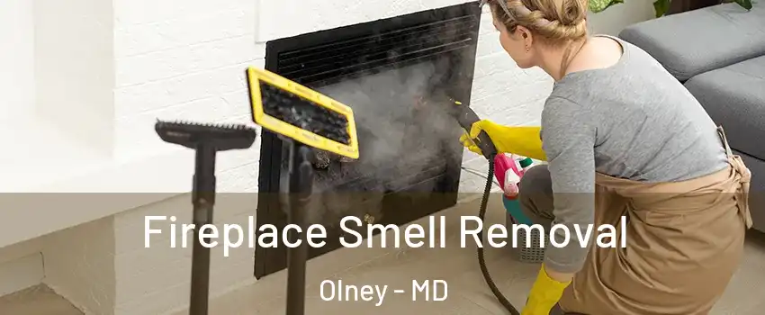  Fireplace Smell Removal Olney - MD