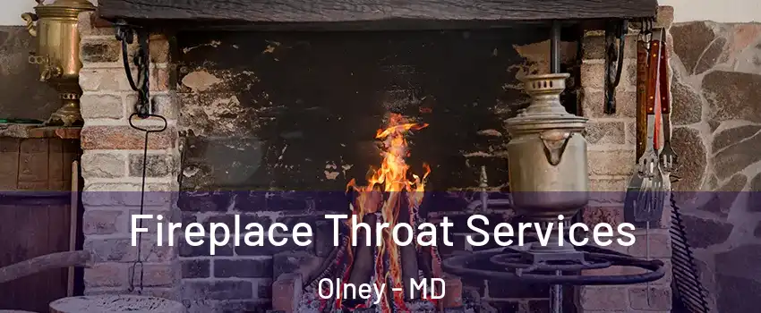  Fireplace Throat Services Olney - MD