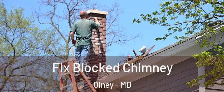  Fix Blocked Chimney Olney - MD