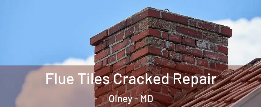  Flue Tiles Cracked Repair Olney - MD