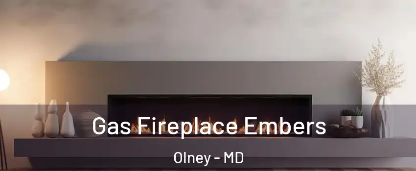  Gas Fireplace Embers Olney - MD