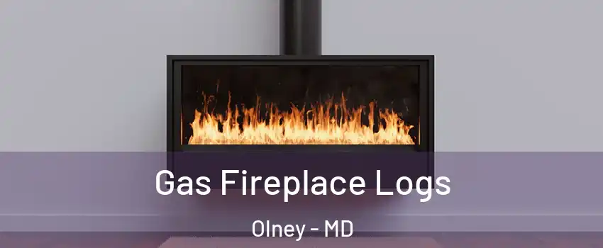  Gas Fireplace Logs Olney - MD