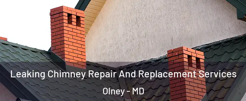  Leaking Chimney Repair And Replacement Services Olney - MD