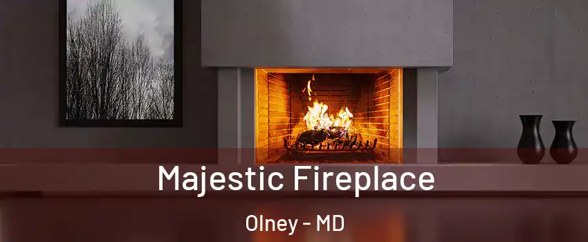  Majestic Fireplace Olney - MD
