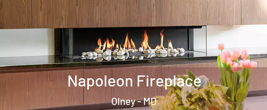  Napoleon Fireplace Olney - MD