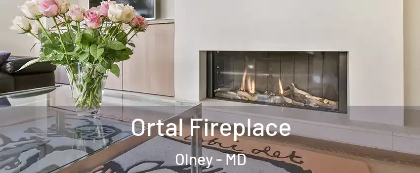 Ortal Fireplace Olney - MD