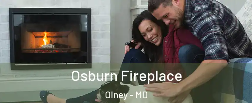  Osburn Fireplace Olney - MD