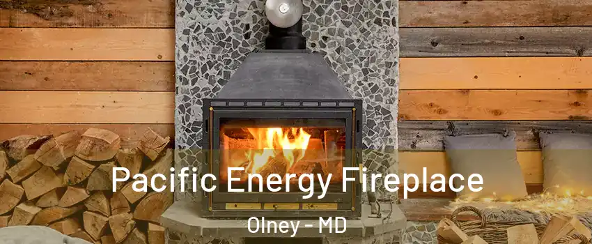  Pacific Energy Fireplace Olney - MD