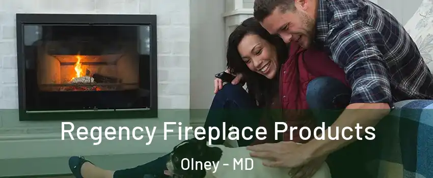  Regency Fireplace Products Olney - MD
