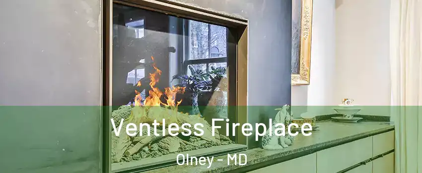  Ventless Fireplace Olney - MD